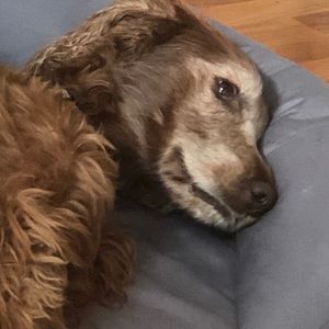 Meet your Posher, Jill